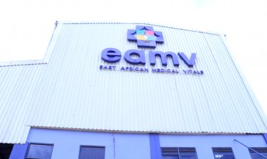 East African Medical Vitals to supply the Republic of South Sudan with quality Medical gloves.