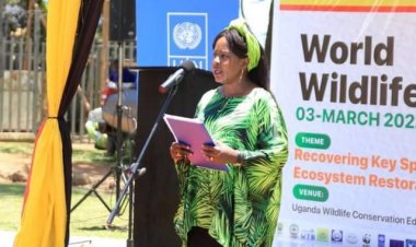 UNDP  launches 'Wildlife Children Discovery Center at UWEC