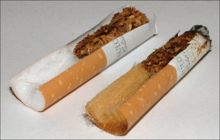 Cigarette filters causing climate change- UNEP