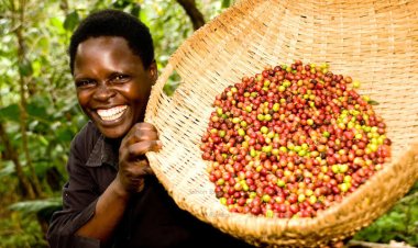 ‘Vinci, the Lubowa hospital investor has our best interests, we shall invest   $80m  as part of the coffee deal’ - Ggoobi