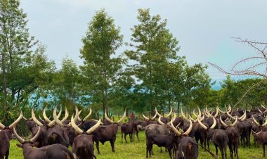 Ministry of Agriculture launches knowledge and skilling show for young people