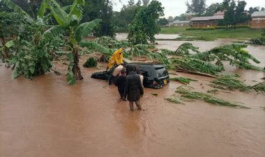 Death toll in Mbale floods rises to 30 people as 400,000 risk diseases due  lack of access to safe water.