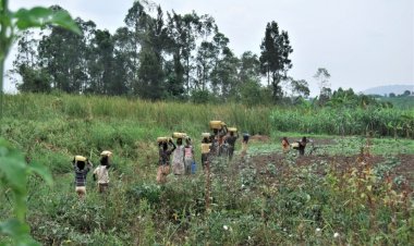 Protect the environment to secure groundwater