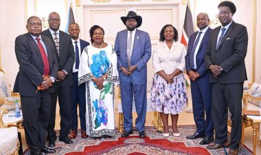 Uganda on course to develop 308km power line to South Sudan