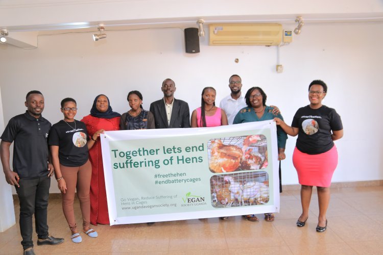 We need to collectively improve the welfare of hens in the country – Uganda Vegan Society.