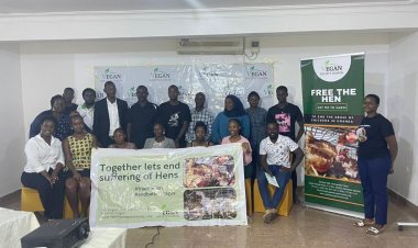 Animal Rights Experts Urge Poultry Farmers To Embrace Cage-Free systems
