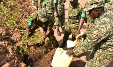 UPDF to plant over 300,000 trees in DRC