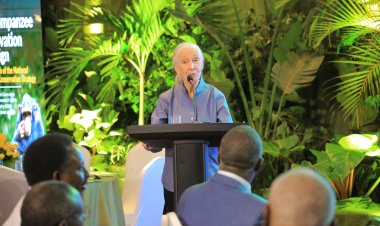 Dr. Jane Goodall Unveils the Intricacies of Chimpanzee Behavior and Reflects on Co-Existence