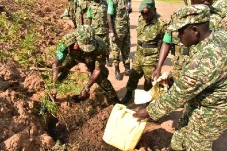 UPDF to plant over 300,000 trees in DRC