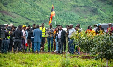 Uganda’s Green Gold, Fostering Sustainability and Prosperity through Agrotourism