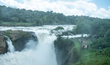 Murchison Falls, The Heart of Bunyoro's Natural Symphony