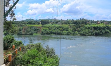 Journey of the Brave, Bungee Jumping - A Thrill-Seeker's Paradise (Leap of Faith)