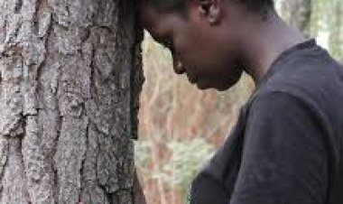 Ugandan Activist Sets World Record with 16-Hour Tree Hug, GWR Confirms