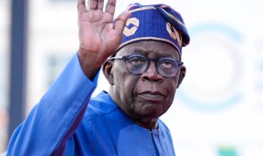 Nigeria's Tinubu bans Gov't Officials from Taking Foreign Trips