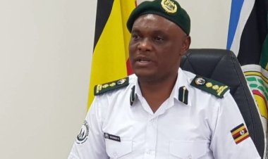 Gov't Grapples with 50,000 Unclaimed Passports, Mulls Destruction