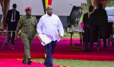 The Problem in Uganda is Not Jobs But Lack of Vision, Says Museveni