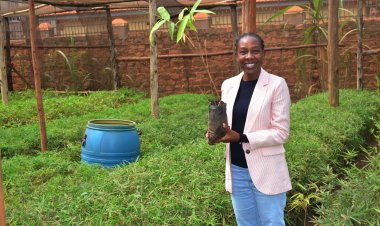 Divine Bamboo: Ugandan Startup Leading the Fight Against Deforestation with Innovative Briquette Making