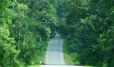 No Way Through Murchison Falls N.P Past 7pm - Says UWA