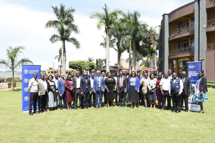 FAO Hosts Regional Workshop to Strengthen Veterinary Epidemiology Capacity in East and Southern Africa