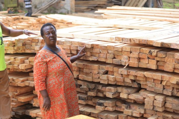 Jeninah Busingye Creates Wealth Through Planting Trees