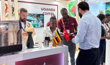 Uganda's Coffee Exports to Turkey Soar as Embassy Intensifies Commercial Diplomacy Efforts