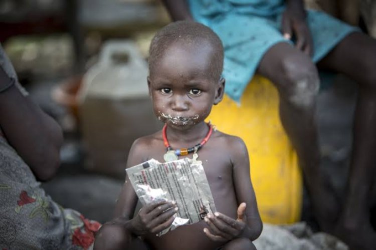 Hunger Remains High for Three Consecutive Years-UN Report