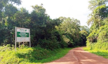 CSOs withdraw Bugoma forest appeal case over litigation delays