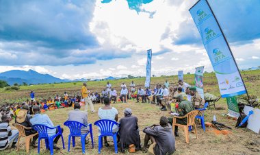 ATEI and Partners Launch Innovations to Boost Resilience and Sustainability in Karamoja