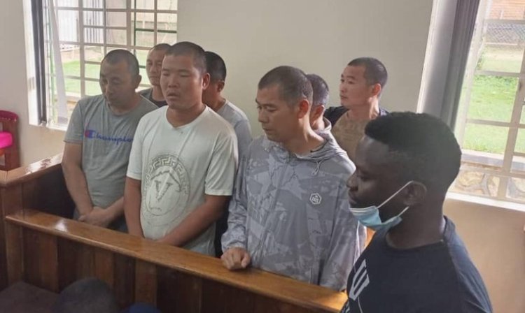 7 Chinese Nationals Fined Shs.217m for Encroaching on Lwera Wetland