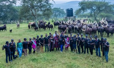 Nshenyi Cultural Village Champions the Preservation of Ankole Culture