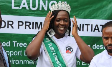 Mayooba Eco Foundation Launches “Plant for Primates” Initiative Near Bwindi to Advance Conservation and Community Livelihoods