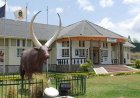 Igongo Cultural Centre & Country Hotel Goes 100?ge-Free and Expands Vegan Menu