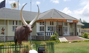 Igongo Cultural Centre & Country Hotel Goes 100?ge-Free and Expands Vegan Menu